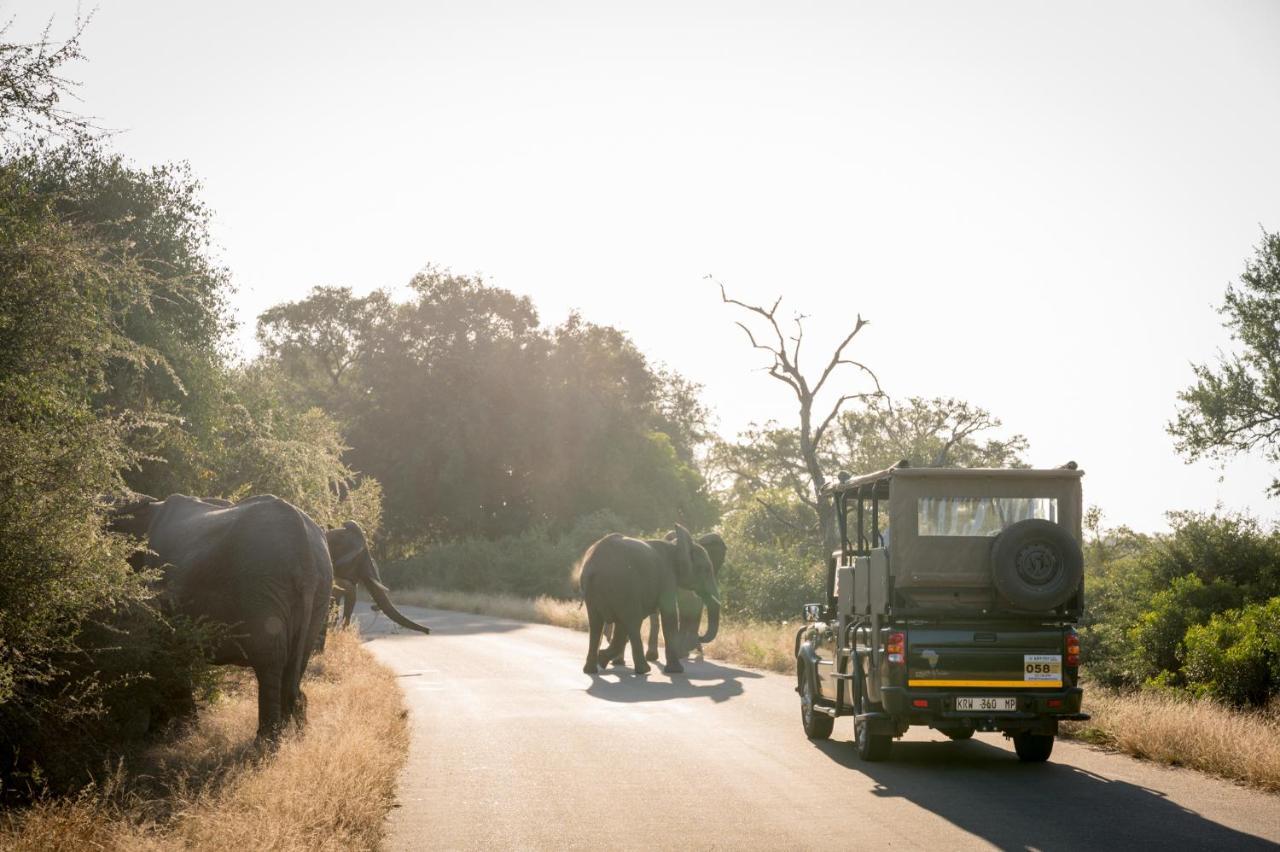 Nkuhlu Tented Camp Skukuza Eksteriør billede