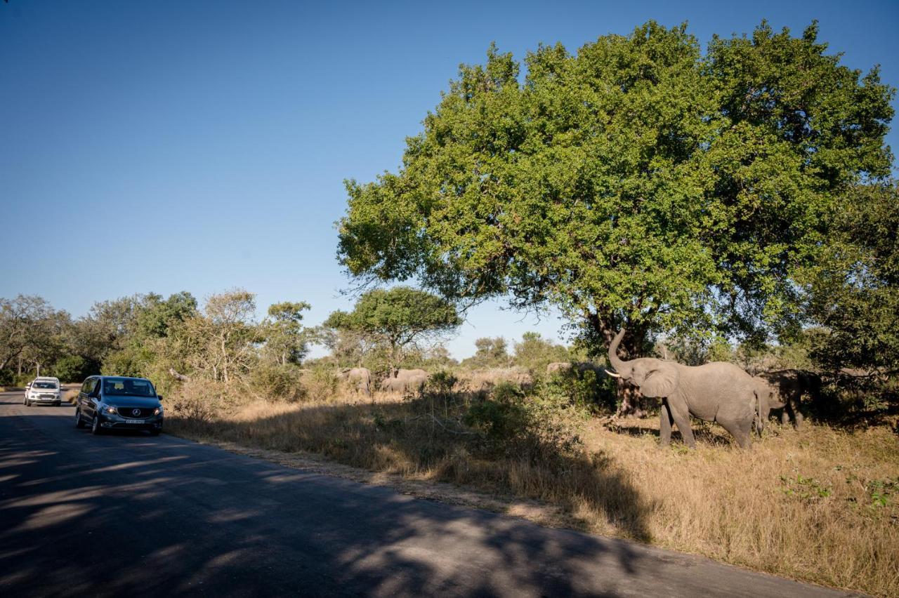 Nkuhlu Tented Camp Skukuza Eksteriør billede