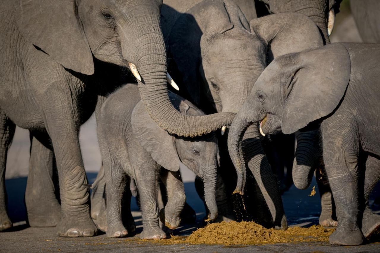 Nkuhlu Tented Camp Skukuza Eksteriør billede