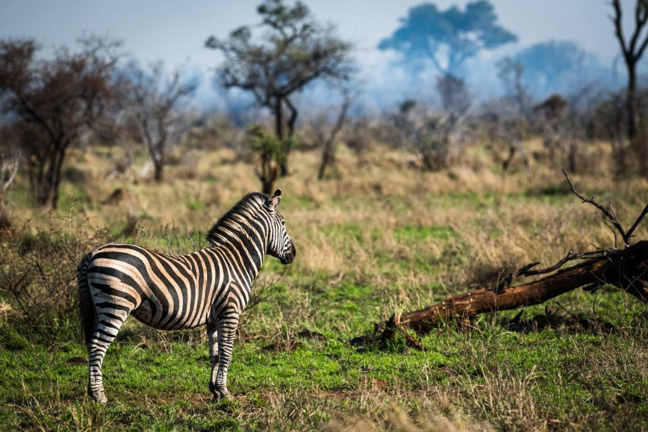 Nkuhlu Tented Camp Skukuza Eksteriør billede