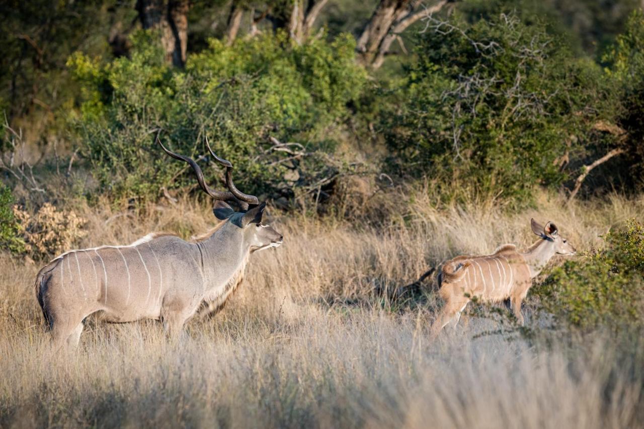 Nkuhlu Tented Camp Skukuza Eksteriør billede