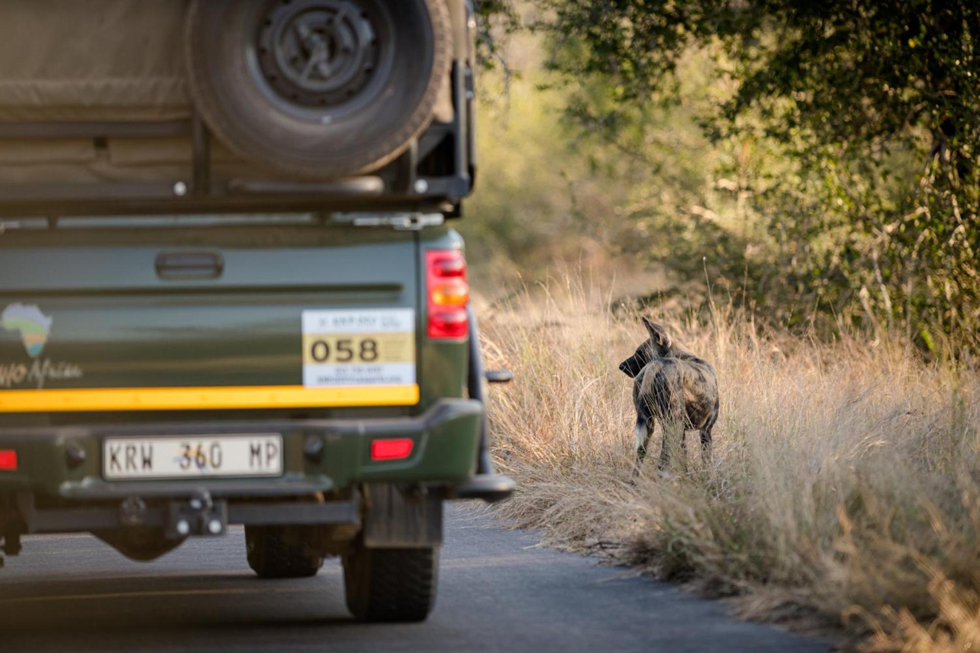 Nkuhlu Tented Camp Skukuza Eksteriør billede